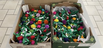 Priprave na praznovanje 50. obletnice